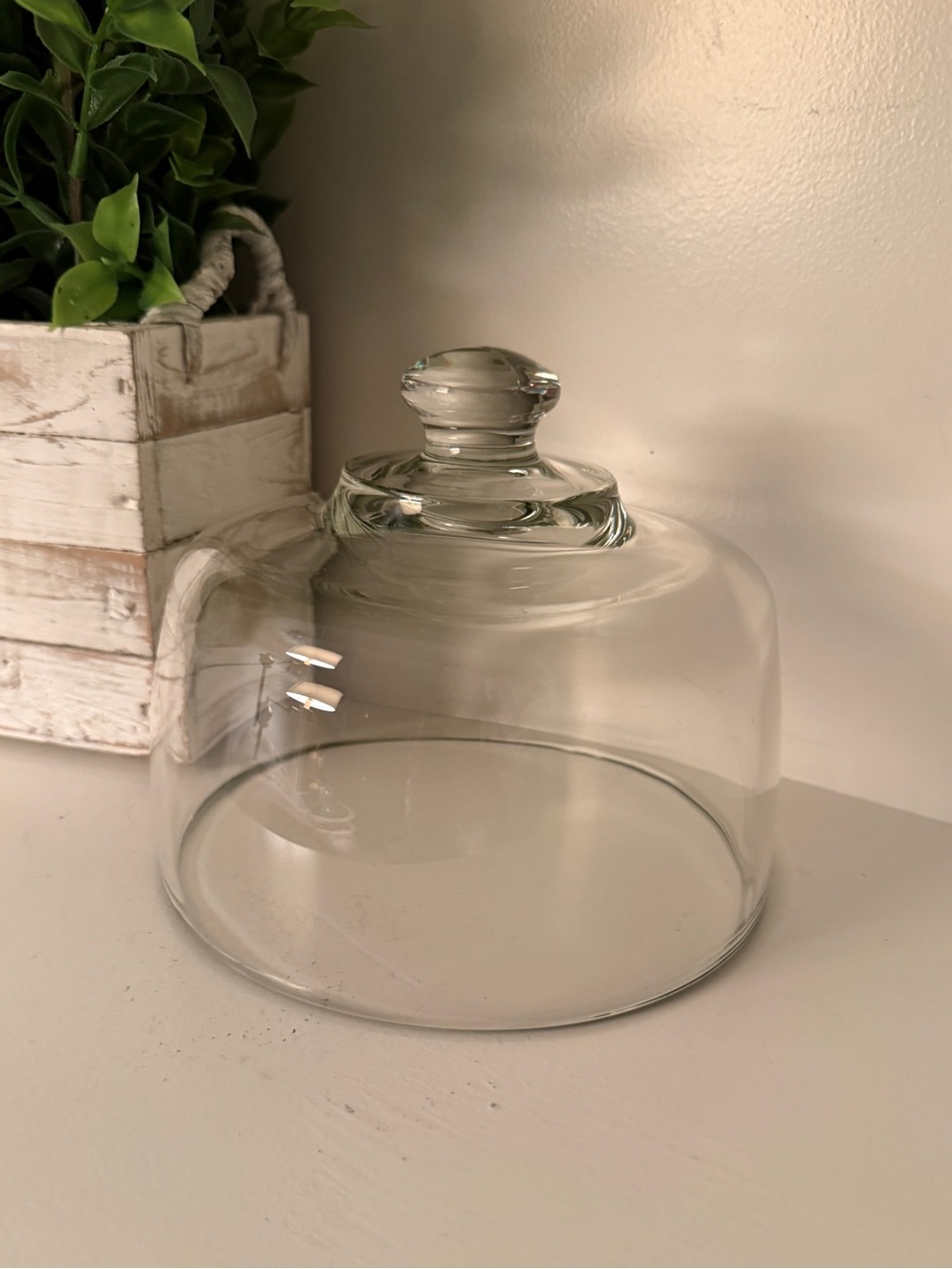 Classic Clear Glass Cheese Dome Cloche Cover Knob Handle Kitchen Pastry Display